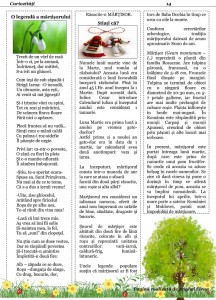 Glasuri Olimpice nr.17 (2)-15
