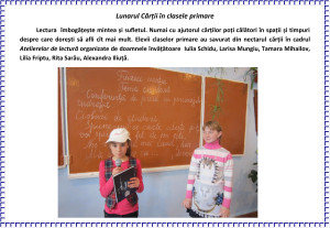 liceul teoretic Puhaceni Anenii noi